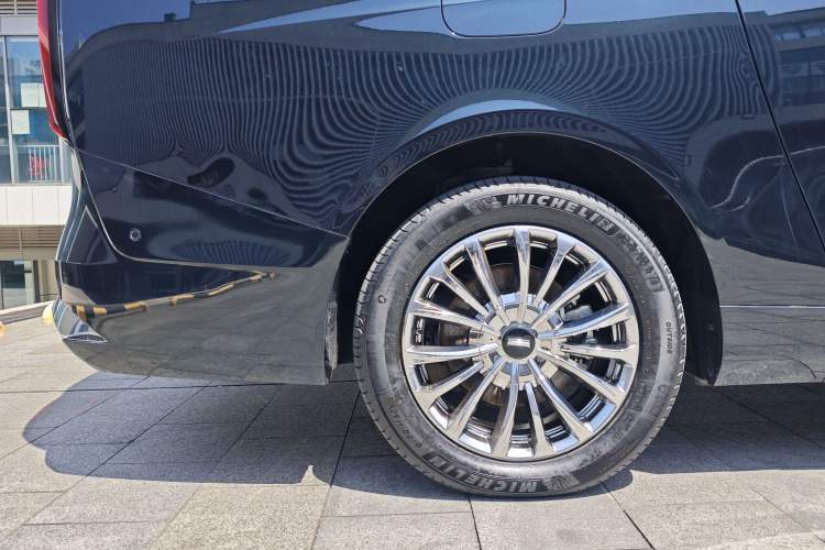 Used Wey Gaoshan 2023 Four-Wheel-Drive Executive Extended Version Exterior 8