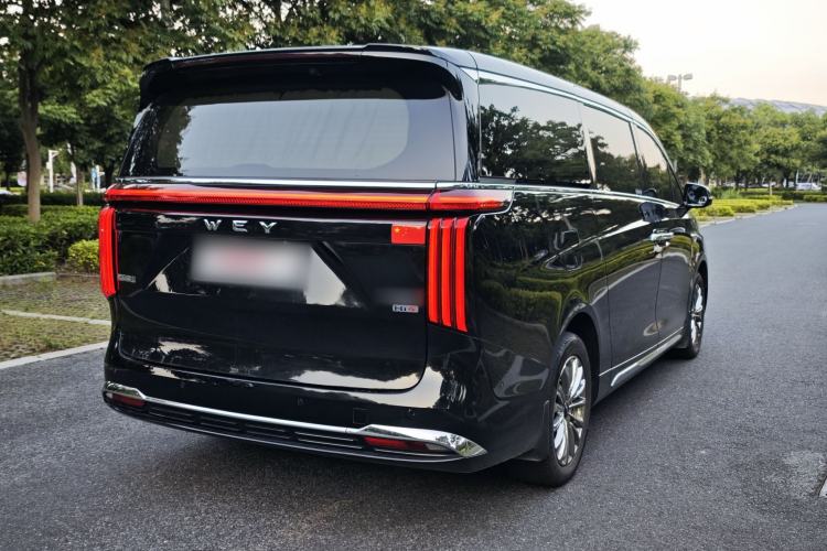 Used Wey Gaoshan 2023 Four-Wheel-Drive Executive Extended Version Exterior 8