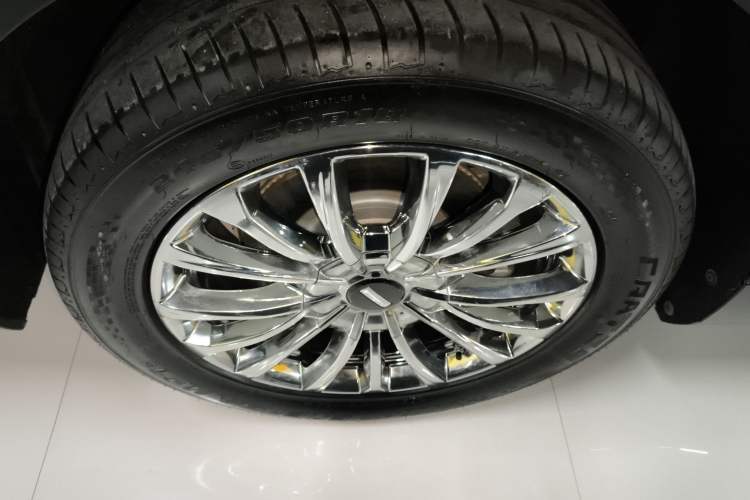 Used Wey Gaoshan 2023 Four-Wheel-Drive Executive Extended Version Exterior 8
