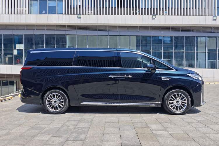 Used Wey Gaoshan 2023 Four-Wheel-Drive Executive Extended Version Exterior 9