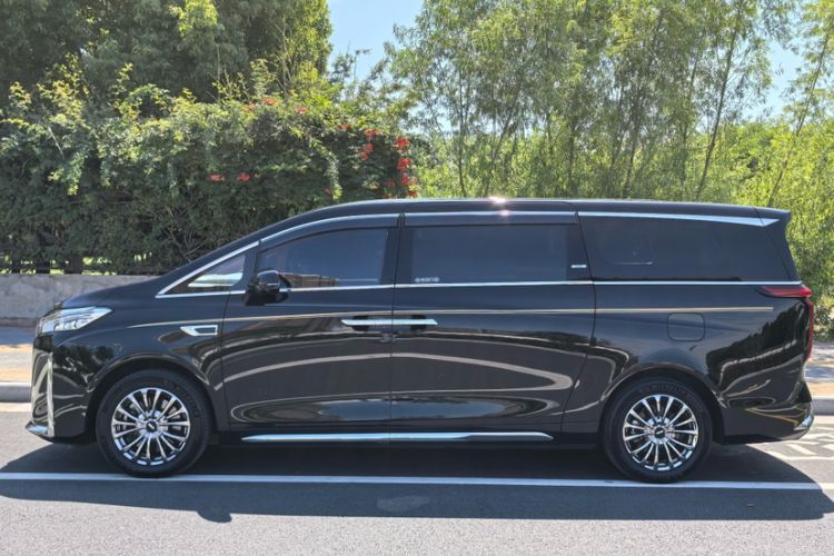 Used Wey Gaoshan 2023 Four-Wheel-Drive Executive Extended Version Exterior 9
