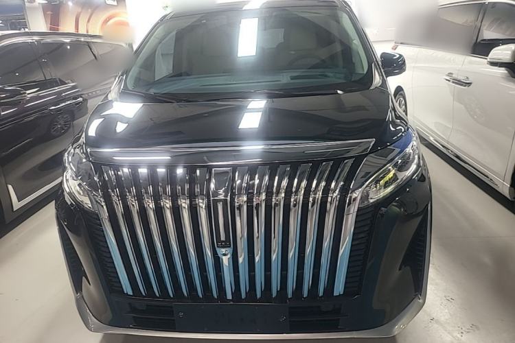 Used Wey Gaoshan 2023 Four-Wheel-Drive Executive Extended Version Front