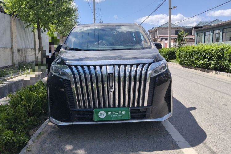 Used Wey Gaoshan 2023 Four-Wheel-Drive Executive Extended Version Front