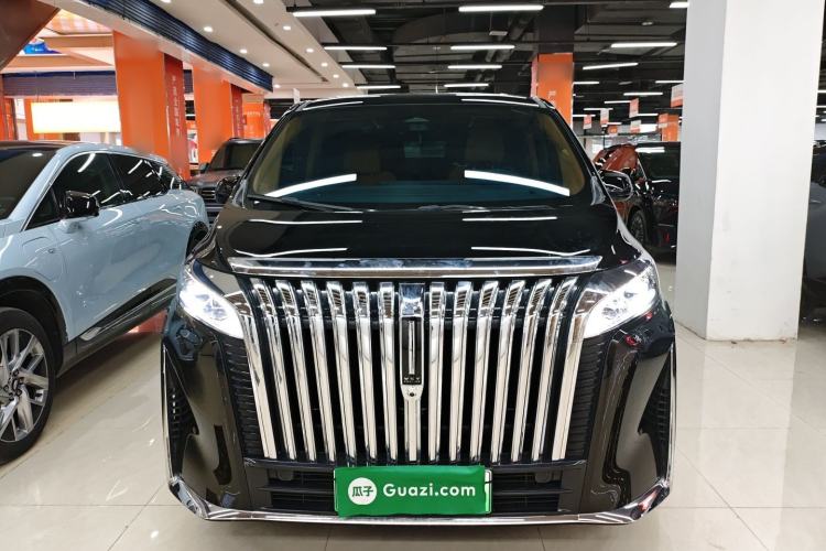 Used Wey Gaoshan 2023 Four-Wheel-Drive Executive Extended Version Front