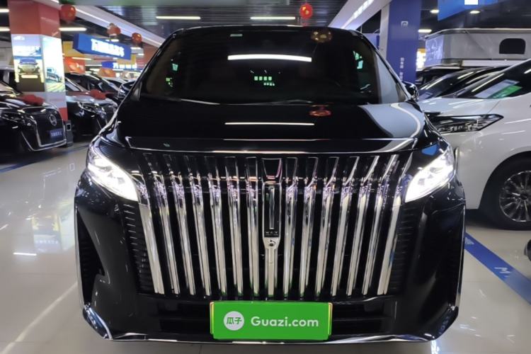 Used Wey Gaoshan 2023 Four-Wheel-Drive Executive Extended Version Front