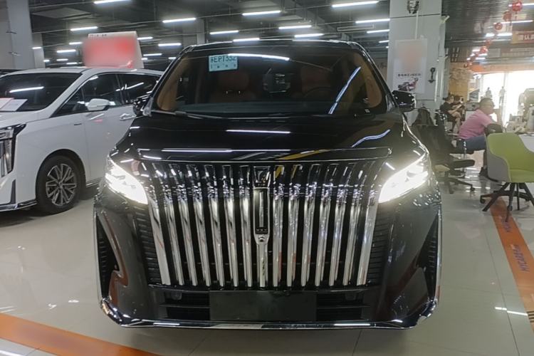 Used Wey Gaoshan 2023 Four-Wheel-Drive Executive Extended Version Front