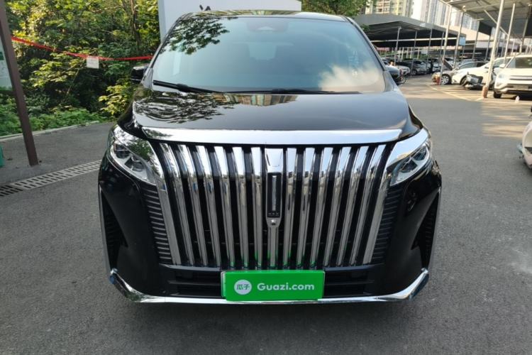 Used Wey Gaoshan 2023 Four-Wheel-Drive Executive Extended Version Front