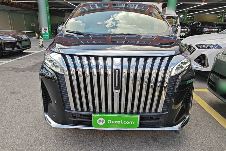 Used Wey Gaoshan 2023 Four-Wheel-Drive Executive Extended Version Front