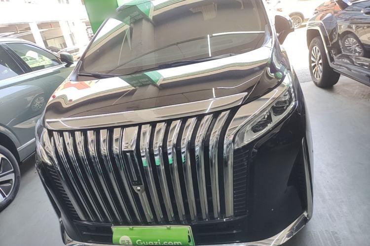 Used Wey Gaoshan 2023 Four-Wheel-Drive Executive Extended Version Front