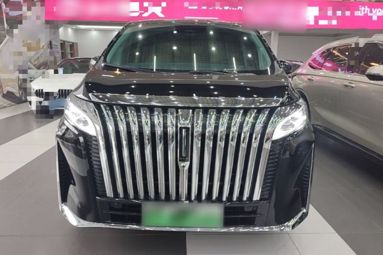 Used Wey Gaoshan 2023 Four-Wheel-Drive Executive Extended Version Front