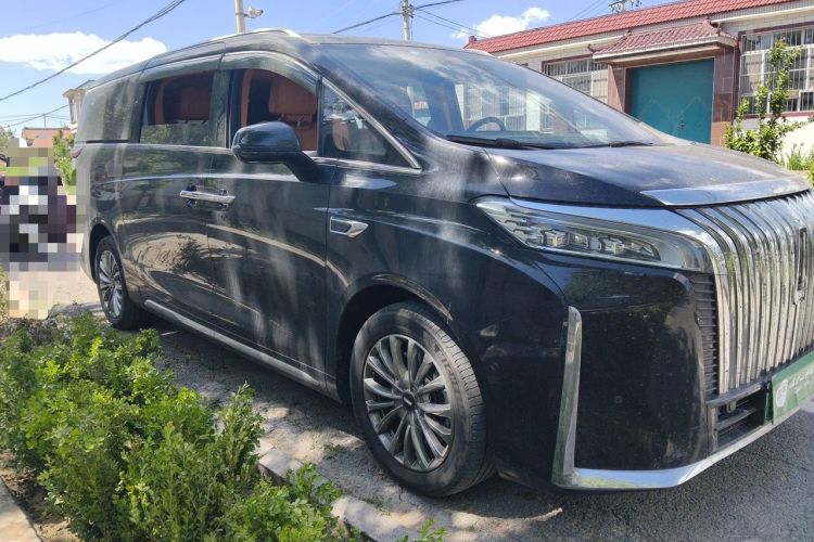 Used Wey Gaoshan 2023 Four-Wheel-Drive Executive Extended Version Front Right 45 Deg
