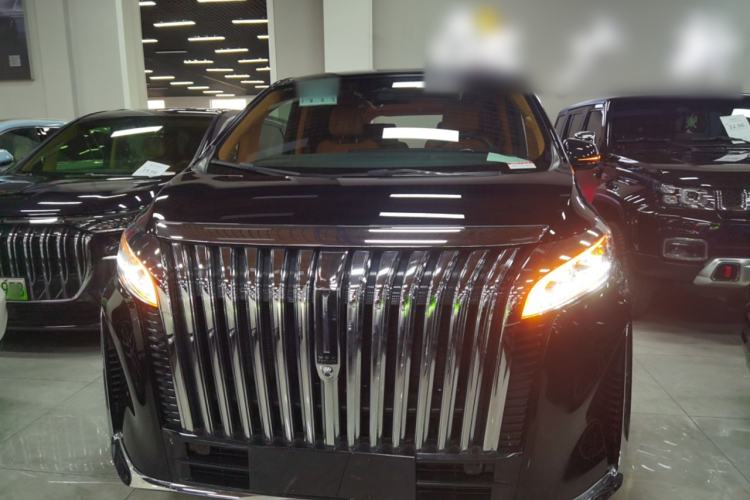 Used Wey Gaoshan 2023 Four-Wheel-Drive Executive Extended Version Front