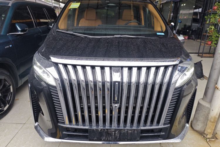 Used Wey Gaoshan 2023 Two-Wheel Drive Deluxe Edition Front