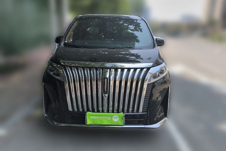 Used Wey Gaoshan 2023 Four-Wheel-Drive Executive Extended Version Front