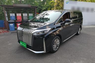 Used Wey Gaoshan 2023 Four-Wheel-Drive Executive Extended Version