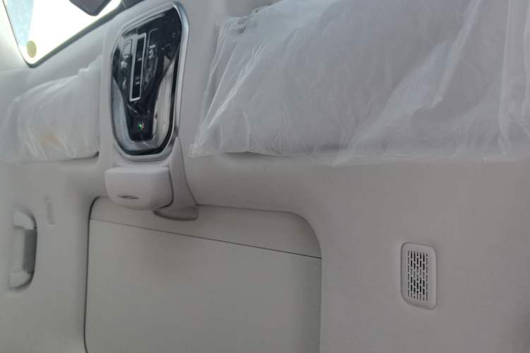 Used Wey Gaoshan 2023 Four-Wheel Drive Flagship Edition Headliner
