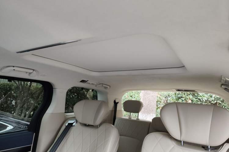 Used Wey Gaoshan 2023 Four-Wheel Drive Flagship Edition Headliner
