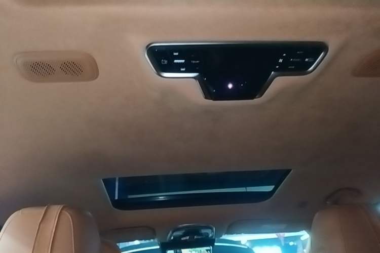 Used Wey Gaoshan 2023 Four-Wheel-Drive Executive Extended Version Headliner