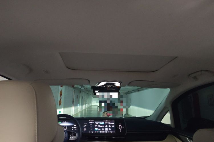 Used Wey Gaoshan 2023 Four-Wheel-Drive Executive Extended Version Headliner