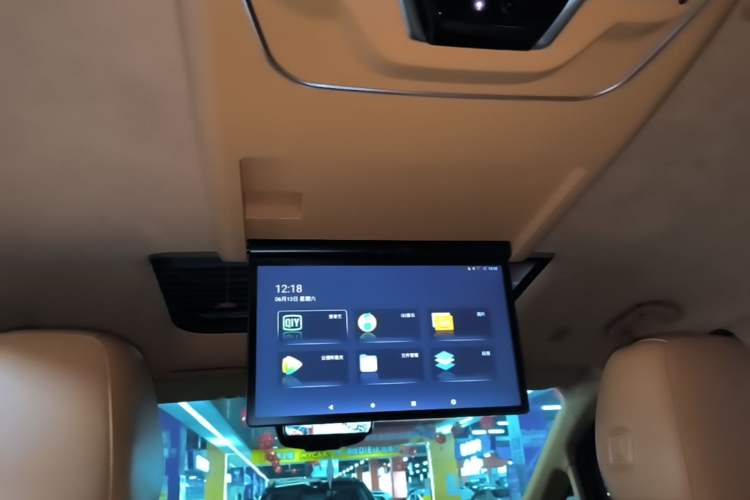 Used Wey Gaoshan 2023 Four-Wheel-Drive Executive Extended Version Headliner