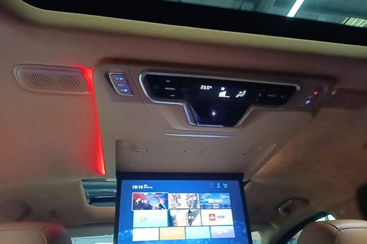 Used Wey Gaoshan 2023 Four-Wheel-Drive Executive Extended Version Headliner