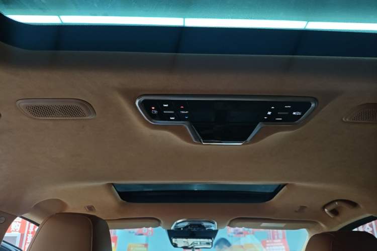 Used Wey Gaoshan 2023 Four-Wheel-Drive Executive Extended Version Headliner