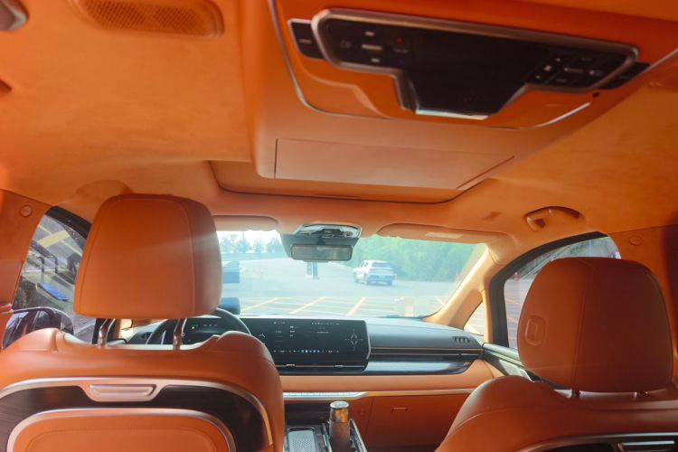 Used Wey Gaoshan 2023 Four-Wheel-Drive Executive Extended Version Headliner