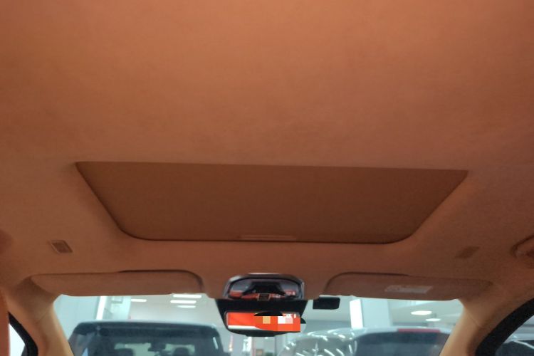 Used Wey Gaoshan 2023 Four-Wheel-Drive Executive Extended Version Headliner