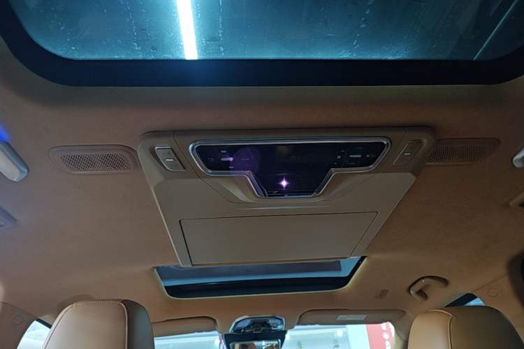 Used Wey Gaoshan 2023 Four-Wheel-Drive Executive Extended Version Headliner