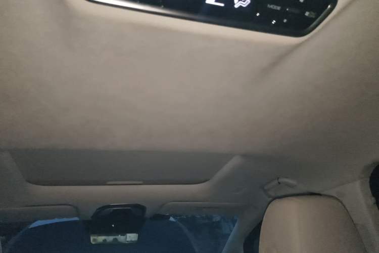 Used Wey Gaoshan 2023 Four-Wheel Drive Flagship Edition Headliner