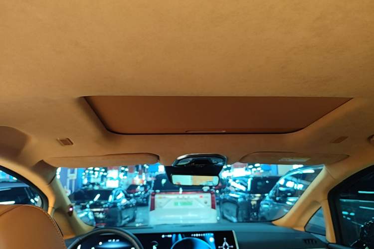 Used Wey Gaoshan 2023 Four-Wheel-Drive Executive Extended Version Headliner