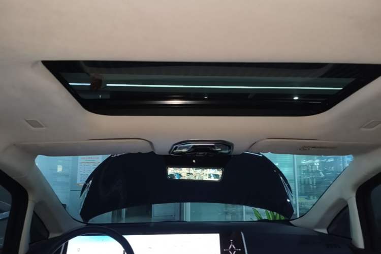 Used Wey Gaoshan 2023 Four-Wheel Drive Flagship Edition Headliner