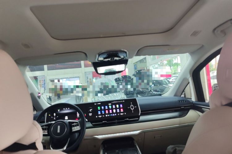 Used Wey Gaoshan 2023 Four-Wheel-Drive Executive Extended Version Headliner
