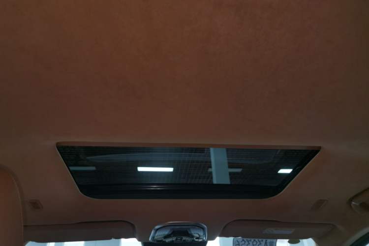 Used Wey Gaoshan 2023 Four-Wheel-Drive Executive Extended Version Headliner