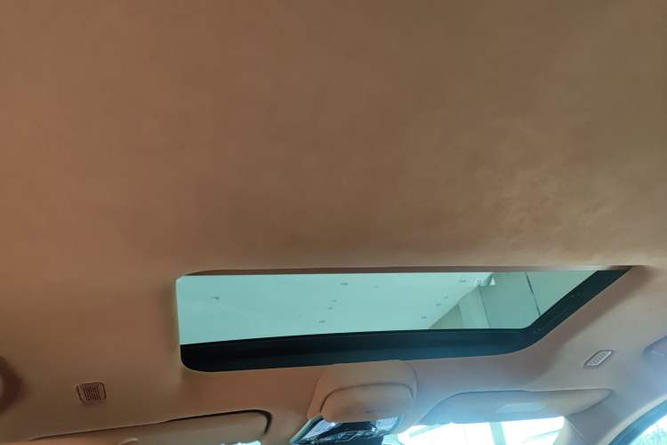 Used Wey Gaoshan 2023 Four-Wheel-Drive Executive Extended Version Headliner