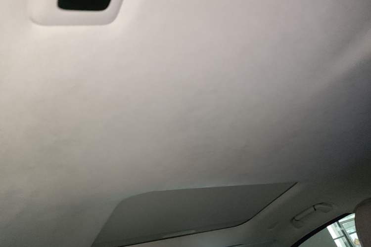 Used Wey Gaoshan 2023 Four-Wheel Drive Flagship Edition Headliner