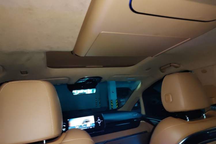 Used Wey Gaoshan 2023 Four-Wheel Drive Flagship Edition Headliner