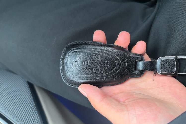 Used Wey Gaoshan 2023 Four-Wheel Drive Flagship Edition Interior 1