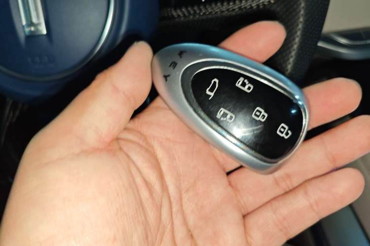 Used Wey Gaoshan 2023 Four-Wheel Drive Flagship Edition Interior 1