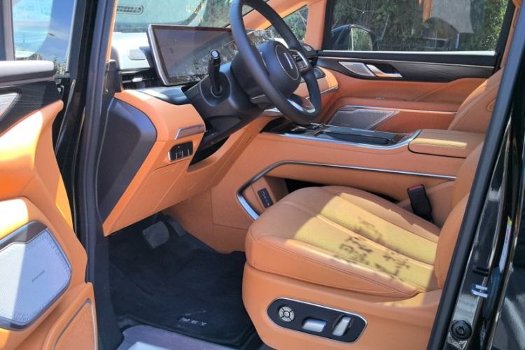 Used Wey Gaoshan 2023 Four-Wheel-Drive Executive Extended Version Interior 9
