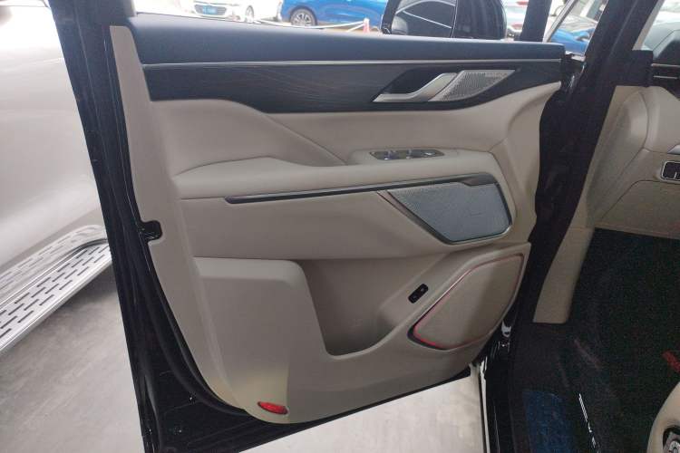 Used Wey Gaoshan 2023 Four-Wheel Drive Flagship Edition Left Front Door Interior