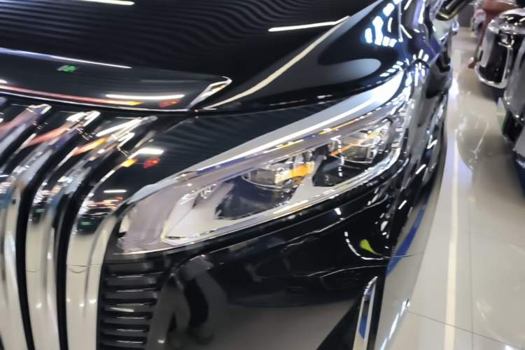 Used Wey Gaoshan 2023 Four-Wheel-Drive Executive Extended Version Left Front Headlight