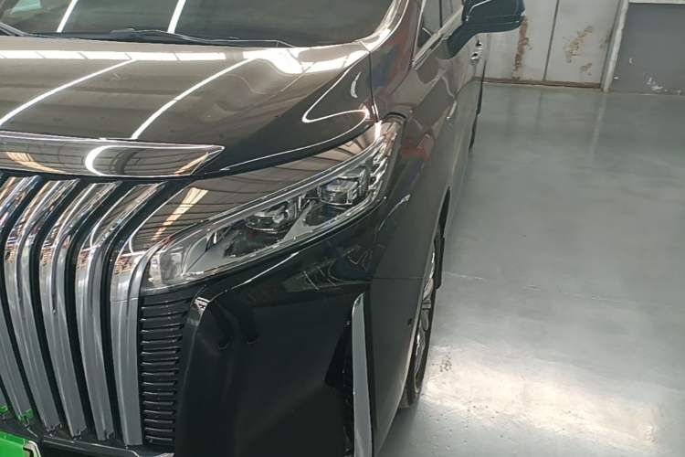 Used Wey Gaoshan 2023 Four-Wheel-Drive Executive Extended Version Left Front Headlight