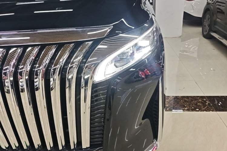 Used Wey Gaoshan 2023 Four-Wheel-Drive Executive Extended Version Left Front Headlight