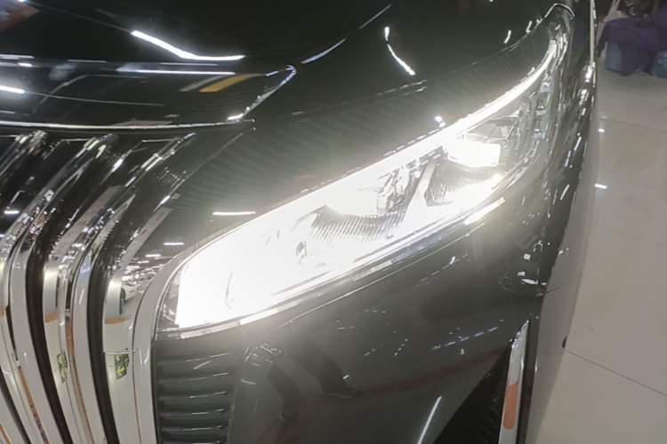 Used Wey Gaoshan 2023 Four-Wheel-Drive Executive Extended Version Left Front Headlight