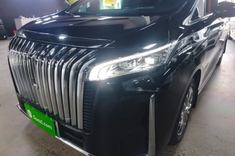 Used Wey Gaoshan 2023 Four-Wheel-Drive Executive Extended Version Left Front Headlight
