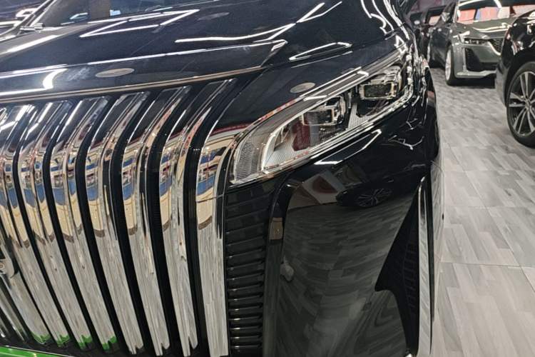 Used Wey Gaoshan 2023 Four-Wheel-Drive Executive Extended Version Left Front Headlight