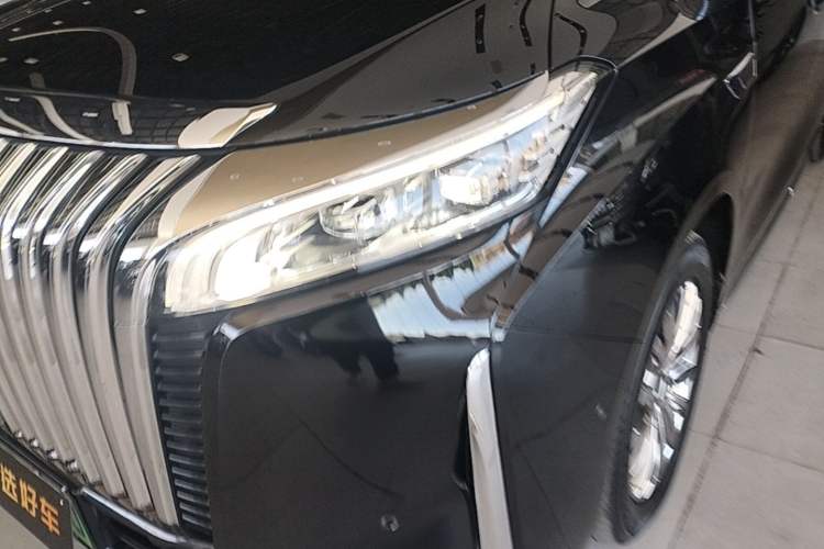 Used Wey Gaoshan 2023 Four-Wheel Drive Flagship Edition Left Front Headlight