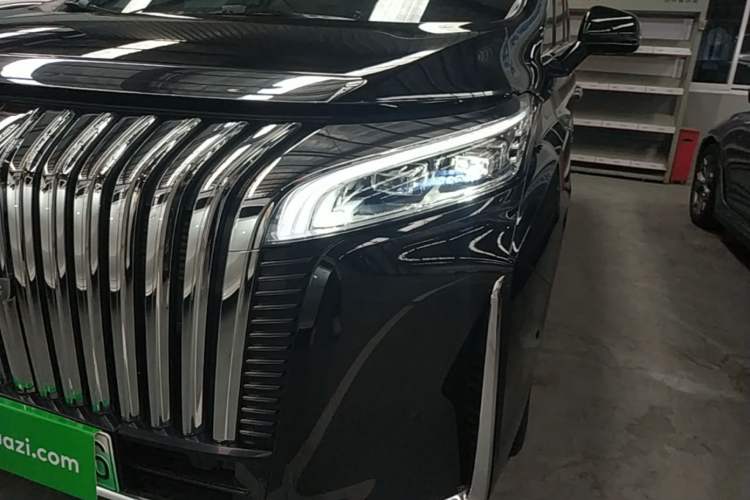 Used Wey Gaoshan 2023 Four-Wheel Drive Flagship Edition Left Front Headlight