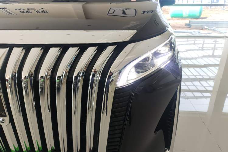 Used Wey Gaoshan 2023 Four-Wheel-Drive Executive Extended Version Left Front Headlight